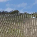 Weingut & Gaestehaus Schmitz-bergweiler