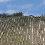 Weingut & Gaestehaus Schmitz-bergweiler 4*