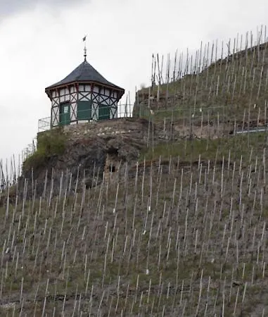 Hotel Weingut & Gaestehaus Schmitz-bergweiler 4*