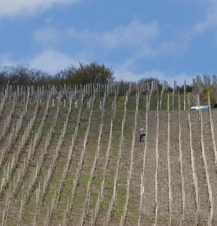 Weingut & Gaestehaus Schmitz-bergweiler