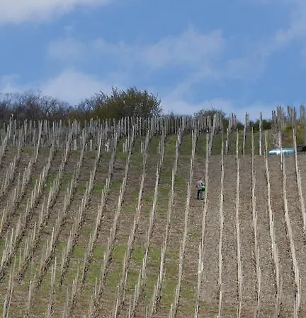 Weingut & Gaestehaus Schmitz-bergweiler 4*