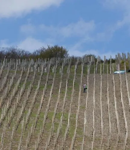 Weingut & Gaestehaus Schmitz-bergweiler